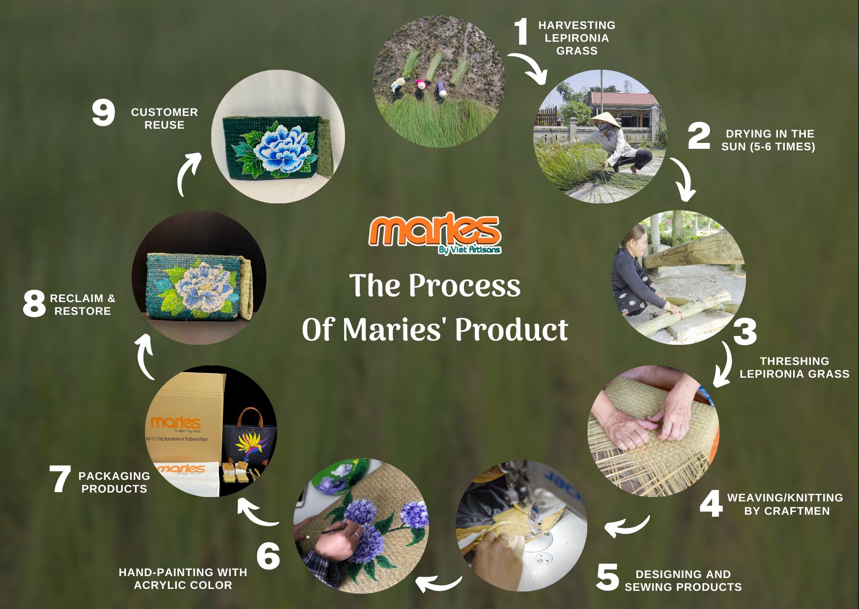 The Process Of Maries' Product